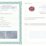 Certyfikat autentyczności Kamień księżycowy