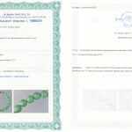 Certyfikat autentyczności Chryzopraz