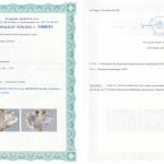 Certyfikat autentyczności Kwarc Herkimer