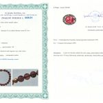 Certyfikat autentyczności Bursztyn