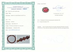 Certyfikat autentyczności Bursztyn