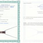 Certyfikat autentyczności Labradoryt