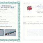 Certyfikat autentyczności Larimar