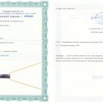 Certyfikat autentyczności Lepidolit