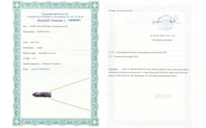 Certyfikat autentyczności Lepidolit