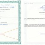 Certyfikat autentyczności Kwarc różowy