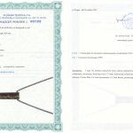 Certyfikat autentyczności Serpentynit