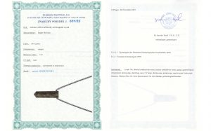 Certyfikat autentyczności Serpentynit