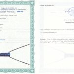 Certyfikat autentyczności Sodalit