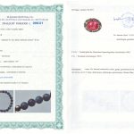 Certyfikat autentyczności Tanzanit