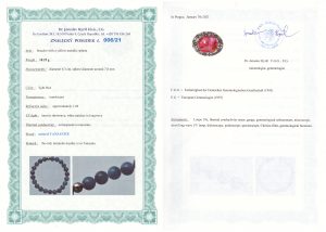 Certyfikat autentyczności Tanzanit
