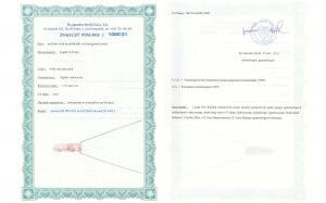 Certyfikat autentyczności Różowy turmalin