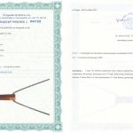 Certyfikat autentyczności Tygrysie oko